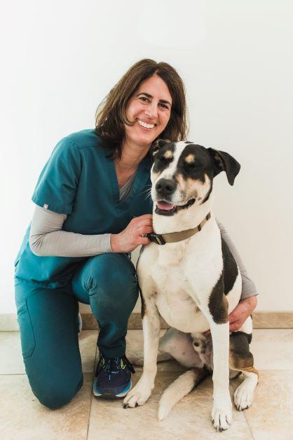 Dog Vet Services From Veterinarians Who Really Care