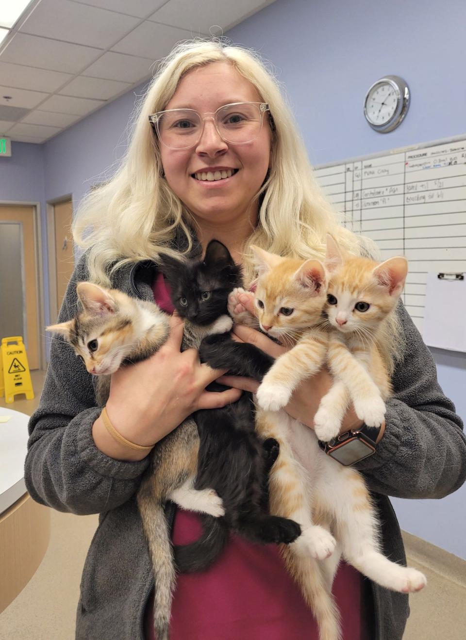 What to feed a 4 outlet week old kitten without mom